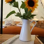 خيمة فخمة Bohofyn نْيوبورغ