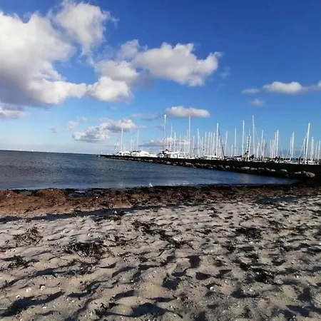 Bohofyn *