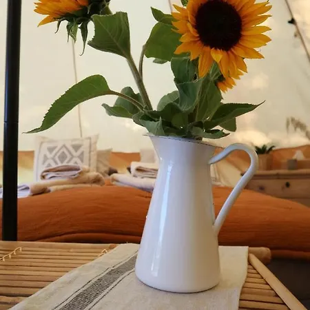 Luxussátor Bohofyn Nyborg